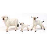 Beswick Sheep 935, Lambs 938 & 936(3)