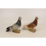 Two Beswick pigeons, one grey, one brown (2)