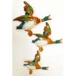 Beswick graduated flying Mallard ducks wall plaques 596-1 to 596-3(3)