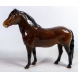 Beswick Exmoor Pony 1645