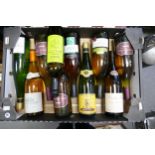 A collection of vintage wines to include Pouilly Fuisse, 2004 Marthinus Chenin Blanc, 2003