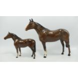 Beswick large thoroughbred stallion 1772 & small thoroughbred stallion 1992(2)