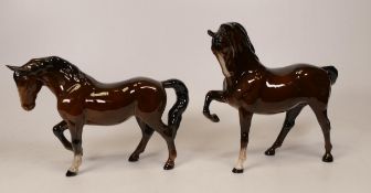 Beswick brown gloss horses Head tucked 1549 and Stocky Jogging mare 855 (2)