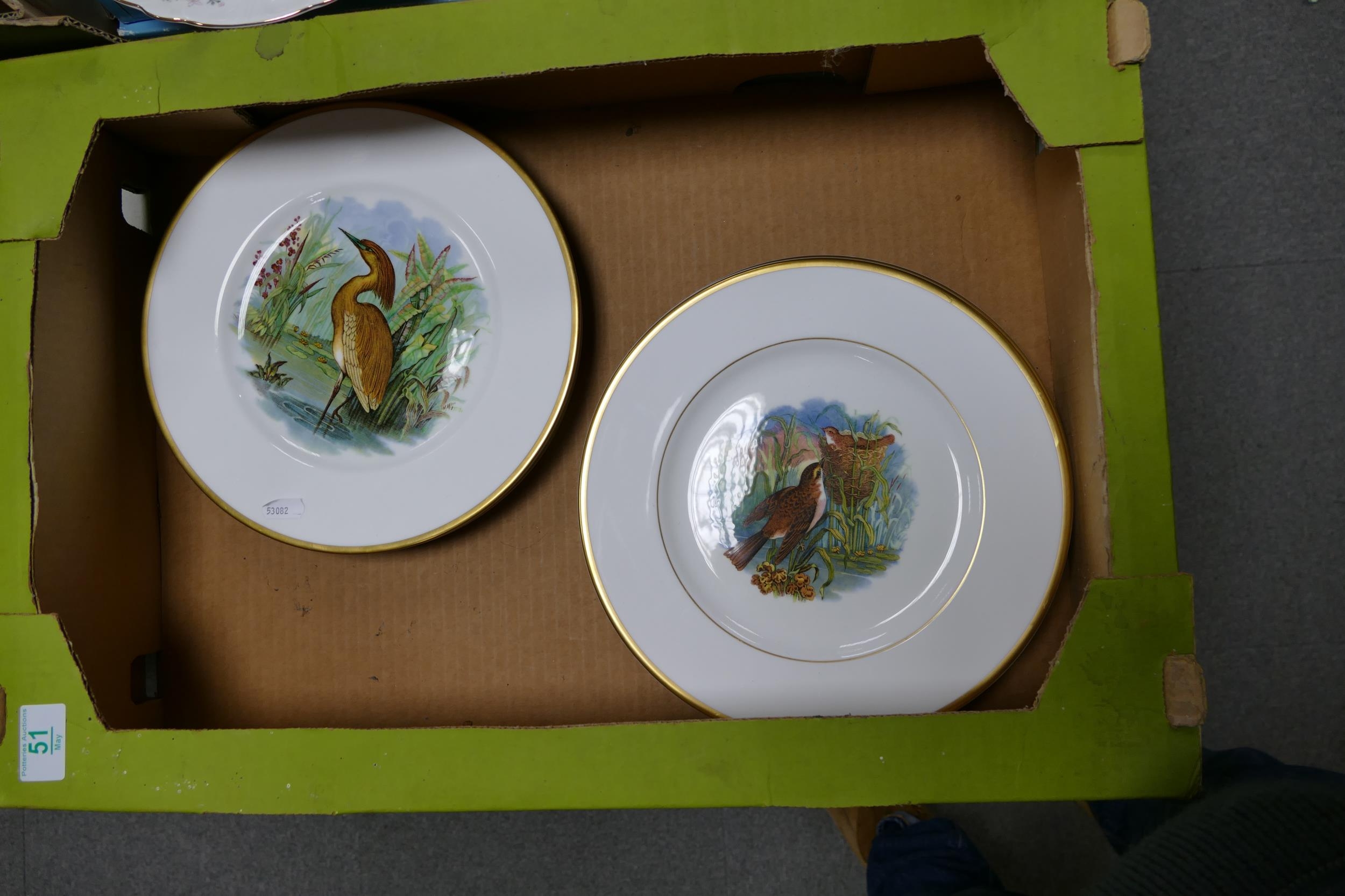 A collection of Coalport Cabinet plates decorated with birds from the engravings of F & R Pratt & Co