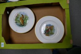 A collection of Coalport Cabinet plates decorated with birds from the engravings of F & R Pratt & Co
