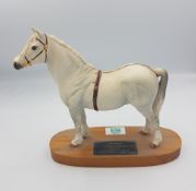 Beswick Connoisseur model Champion Welsh Mountain pony On wooden base.