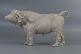 Wade World of SurvivalbBisque figure of African Cape Buffalo, height 13cm. This was removed from the
