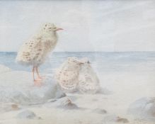 Arthur Eaton, a watercolour painting of three seagull chicks on beach, 15cm x 18.5cm in gilt