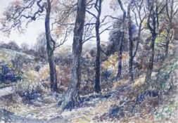 Reginald George Haggar (1905–1988), watercolour painting "Moddershall Woods" 56 x 80cm.