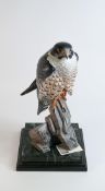 Very large Renaissance Ceramic sculpture figure of Peregrine falcon, limited edition with
