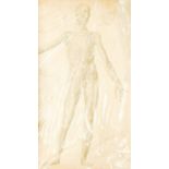 Ten 19th century cased Human anatomy prints on card, marked Dr Munz Fecit, each 54cm x 39.5cm