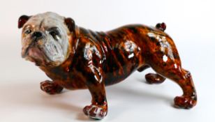 Anita Harris model of a extra large fireside British Bulldog . Height 25cm length 46cm. Gold