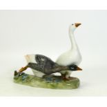 Royal Copenhagen model of a pair of Geese 609. Height 15cm