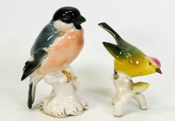 Two Dresden birds to include a Tit and a green finch (2)