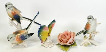 Karl Ens North American blue birds together with a butterfly and a rose ( small chip to leave on