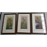 3 x Limited Edition of wildlife / bird scene Framed prints signed Robert Fuller 50cm H x 33cm W