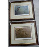 Two limited edition framed prints of birds signed by Robert Fuller 34cmh x 42cmw