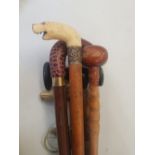 A collection of 5 vintage walking sticks. including one bone handled example