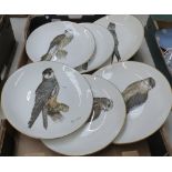 The Taberna Collection Limited Edition Set of 6 Birds of Prey Wall Plates