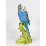 Beswick Blue Budgie facing left 1216