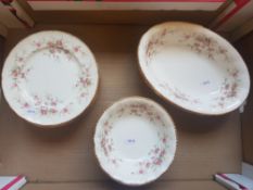 Paragon Victoriana Rose Patterned Dinnerware Items to Include 10 Salad Plates, 8 Cereal Bowls, 3