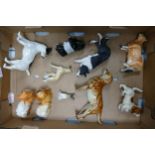 A collection of Goebel & similar pottery dog figures including Jack Russell, Pekingese, Labrador,