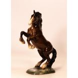 Beswick Rearing Welsh Cob Brown gloss 1014, 1st version