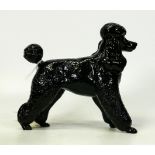 Large Royal Doulton black poodle, height 13cm.