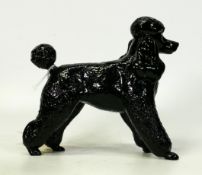 Large Royal Doulton black poodle, height 13cm.