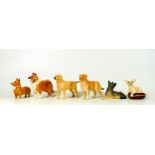 Beswick small dog figures to include Corgi 1736, Collie 1814, Labrador 1956, Chihuahua 2454,