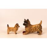 Beswick Cairn terrier with ball 1055a together with Cairn terrier 2112 (2)