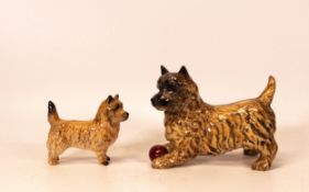Beswick Cairn terrier with ball 1055a together with Cairn terrier 2112 (2)