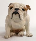 North Light large resin figure of an English Bulldog pup, height 21cm. This was removed from the