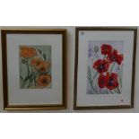 Vanessa Whinney watercolour of Poppies 37cm x 27cm excluding mount & frame, together with Chloe