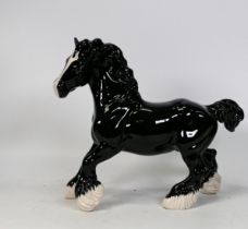 Beswick black cantering Shire horse 975 BCC special with gold stamp, boxed