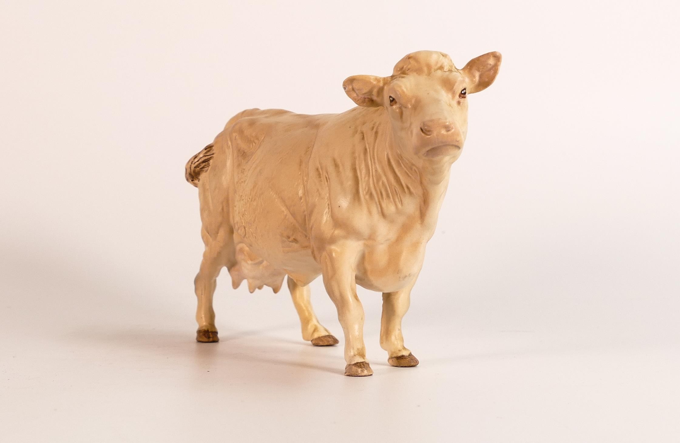 Beswick Charolais cow 3075A in matt glaze, minute pin head - Image 2 of 4