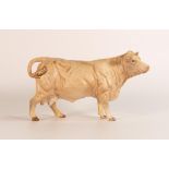 Beswick Charolais cow 3075A in matt glaze, minute pin head