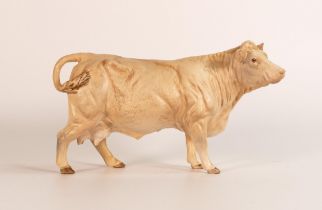 Beswick Charolais cow 3075A in matt glaze, minute pin head