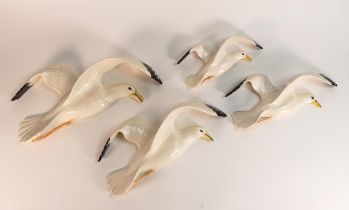 Beswick graduated seagull wall plaques, numbers 658-1, 658-2, 658-3 and 658-4, the largest 37cm wide