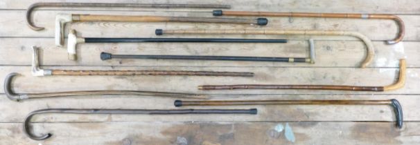 A collection of eleven vintage Walking Sticks, many with horn handles & metal collars, bone