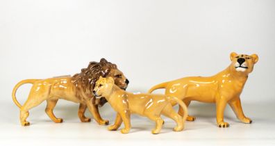 Beswick Lion family comprising Lion 2089 , Lioness 2097 and cub 2098 (3)