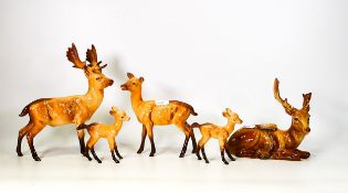 Beswick Stag family group to include stag 981, lying 954 (1 antler broken but piece present), doe