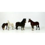 Beswick Horses to include Stallion 1922, Wooley Shetland 1033, Grazing Foal 946 & Grey Foal 1813(4)