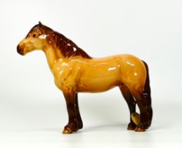 Beswick Dunn Highland Pony 1644