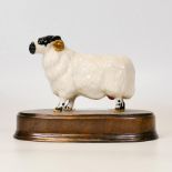 Beswick Black Faced Ram on Ceramic Base 3071