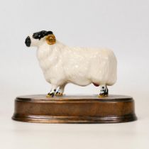 Beswick Black Faced Ram on Ceramic Base 3071