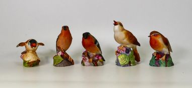 Royal Worcester Matt Figures of Nightingale, Goldfinch, Bullfinch, Robin & Chaffinch(5)