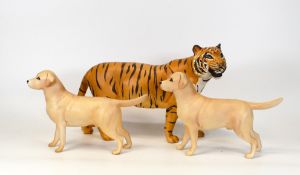 Two Beswick Matte Labrador Solomon of Wendover figures together with a Beswick Tiger 2096