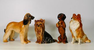 Four Sylvac & Similar Comical Dog Figures, tallest 17cm(4)