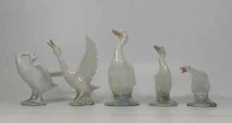 Lladro Figures of Geese & Swans, height 13cm(4)